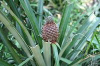 Click image to open!